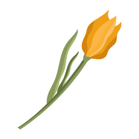 orange rose flower gardenのイラスト素材