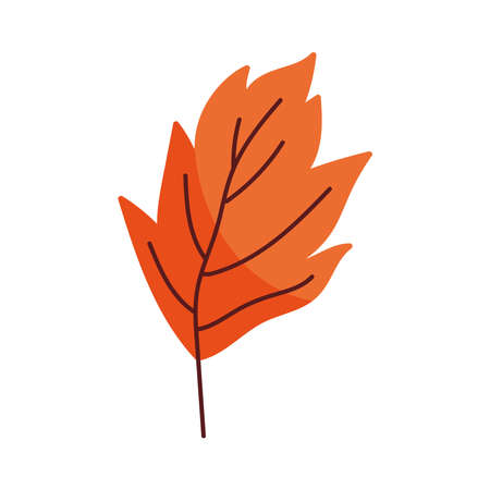 orange autumn leafのイラスト素材