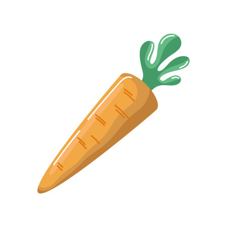 fresh carrot vegetableのイラスト素材