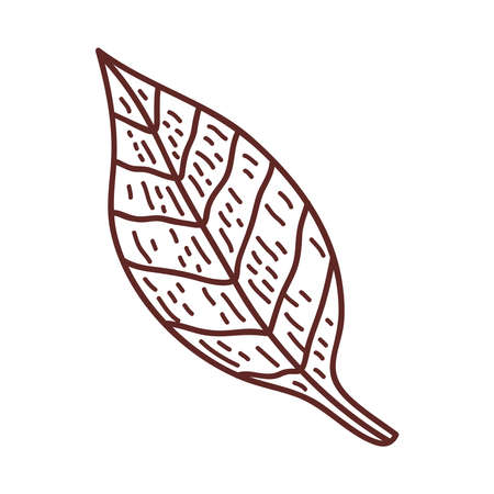 ecology leaf plantのイラスト素材