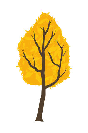 autumn season yellow treeのイラスト素材