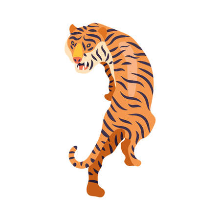 tiger wild felineのイラスト素材