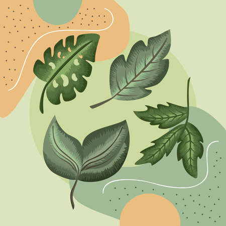 four leafs plants natureのイラスト素材
