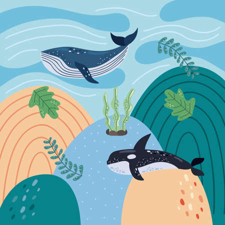 two whales underseaのイラスト素材