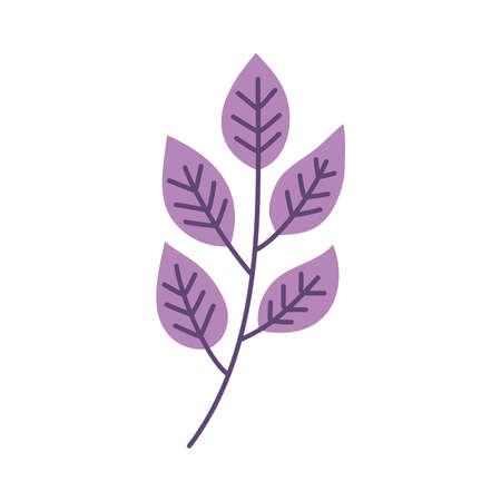 branch with purple leafsのイラスト素材