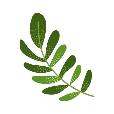 leafs in branch foliageのイラスト素材