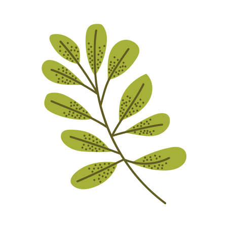 leafs plants in branchのイラスト素材