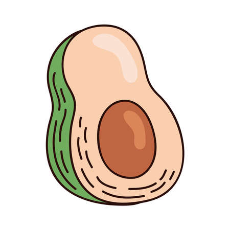 fresh avocado vegetableのイラスト素材
