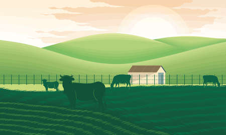 rural landscape with cowsのイラスト素材