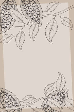 cooca fruits in branches frameのイラスト素材