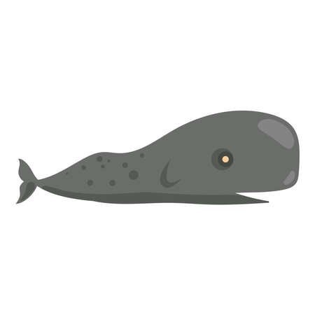 cachalot whale animalのイラスト素材