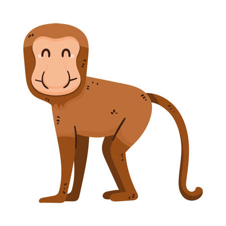 proboscis monkey animal wild