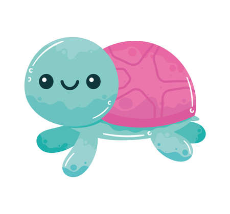 blue turtle sealife animal