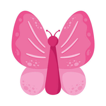 pink butterfly insect iconのイラスト素材