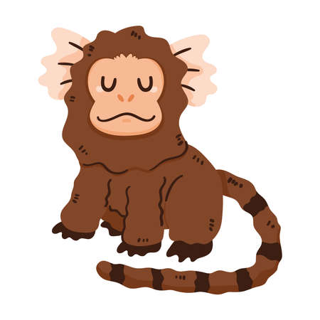 cotton eared tamarin monkey