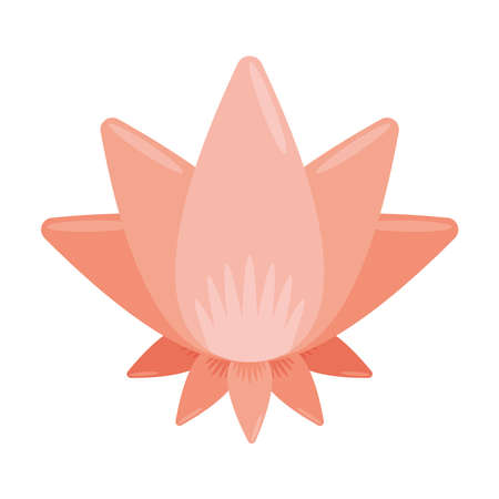 pink lotus flower gardenのイラスト素材