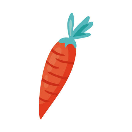 carrot fresh vegetableのイラスト素材