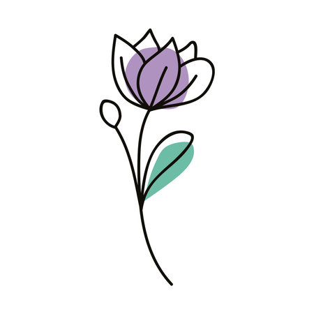 purple rose flower one lineのイラスト素材