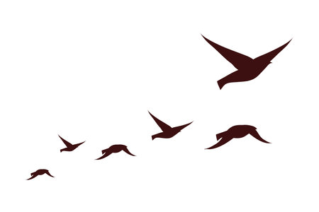 six birds flying silhouettesのイラスト素材