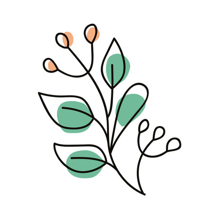 branch and seeds one lineのイラスト素材