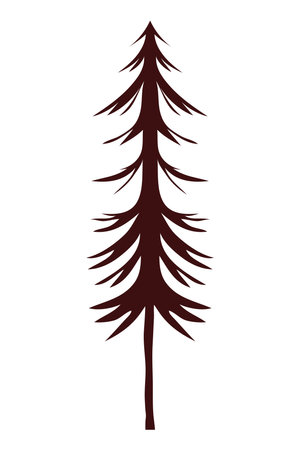 pine tree plantのイラスト素材