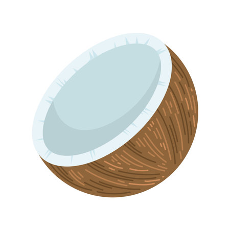coconut half fruitのイラスト素材