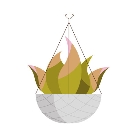 houseplant in pot hangingのイラスト素材