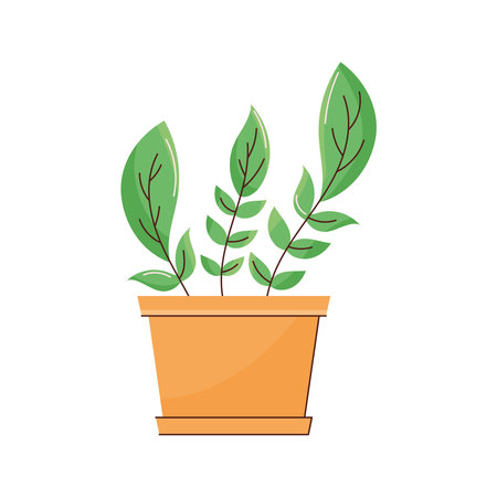 houseplant in potのイラスト素材