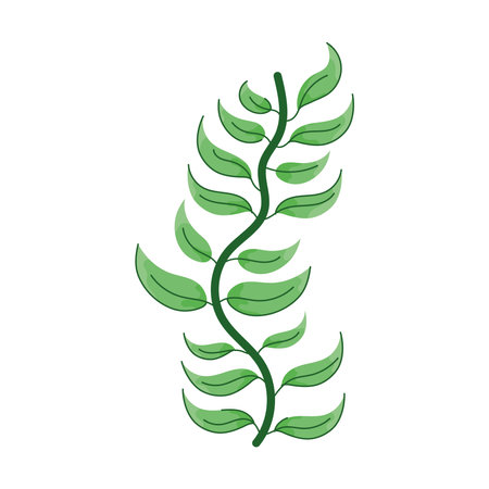 exotic branch with leafsのイラスト素材