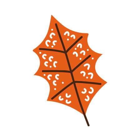 orange autumn leaf plant foliageのイラスト素材