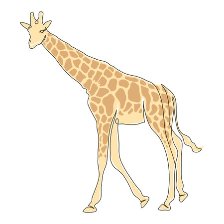 wild giraffe color drawnのイラスト素材