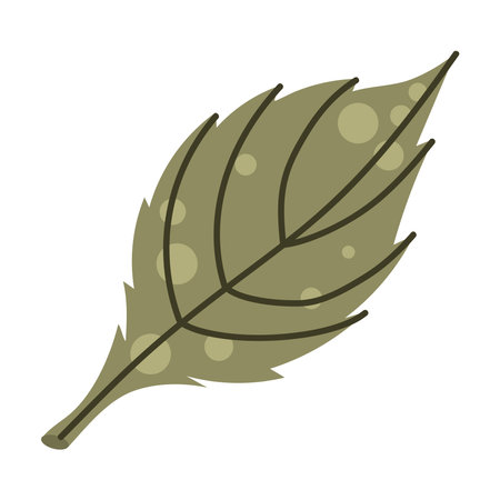 leaf plant foliageのイラスト素材