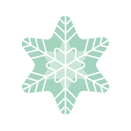christmas star snowflakeのイラスト素材