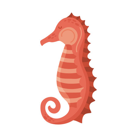 red seahorse animalのイラスト素材