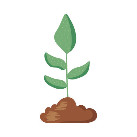 ecology plant gardenのイラスト素材