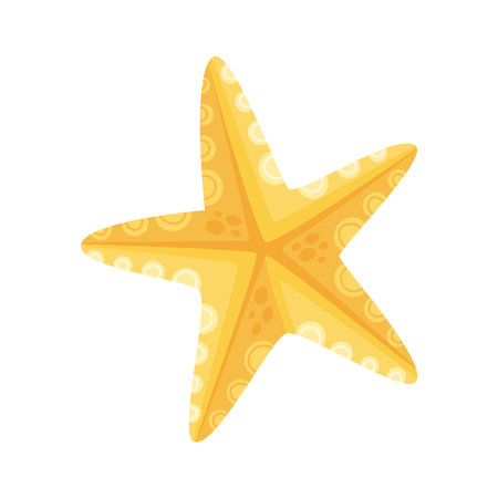 yellow starfish sealifeのイラスト素材