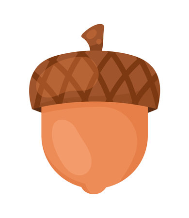 acorn nut seedのイラスト素材