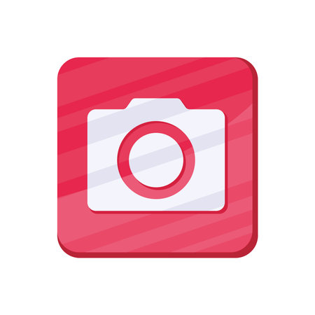 camera photographic app buttonのイラスト素材