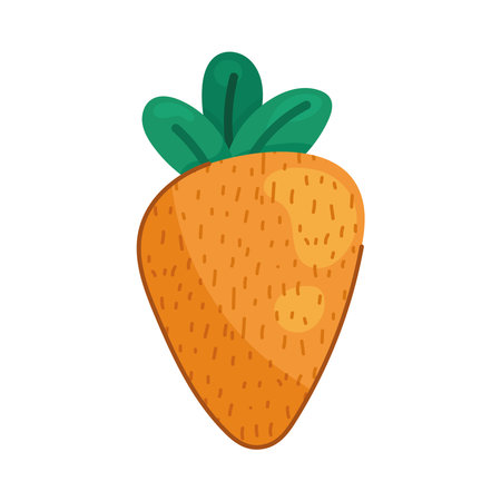 fresh carrot vegetableのイラスト素材
