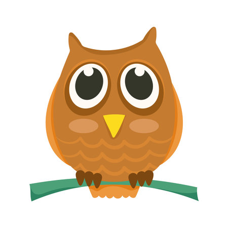 owl bird animalのイラスト素材