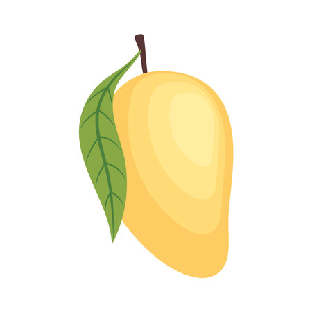 fresh mango fruitのイラスト素材