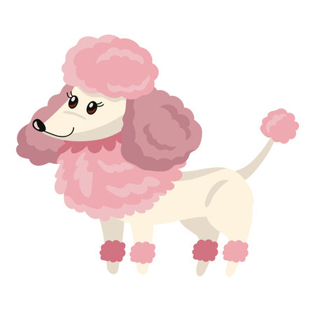 cute dog french poodleのイラスト素材