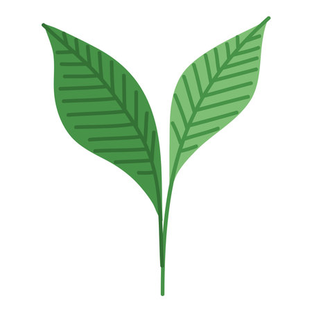 ecology green plantのイラスト素材