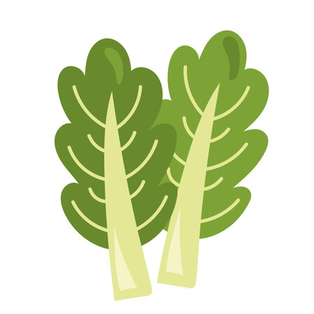 fresh celery vegetableのイラスト素材