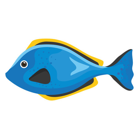 blue fish sealife animalのイラスト素材