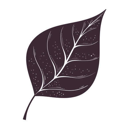 purple leaf plant foliageのイラスト素材