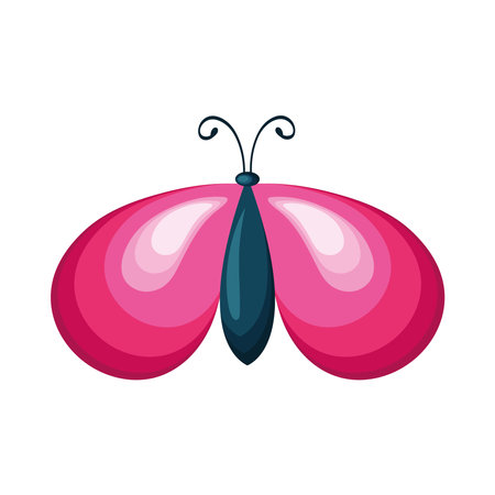 pink moth insect animalのイラスト素材