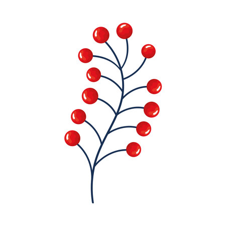branch with reed beansのイラスト素材