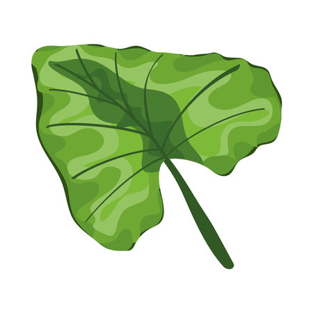 tropical leaf plantのイラスト素材
