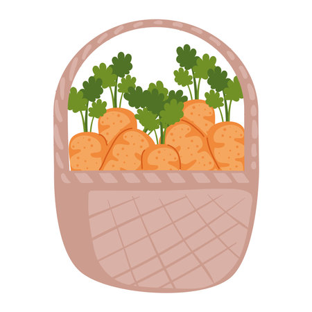 carrots vegetables in basketのイラスト素材
